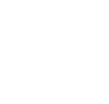 Consejo Nacional de Salud